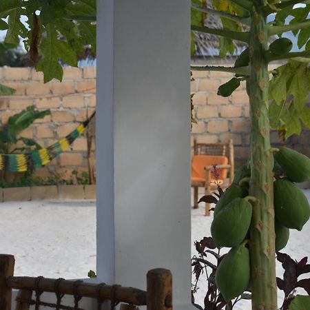 New Arisen Bungalows Bwejuu Exterior foto